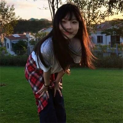 夏绿蒂的网